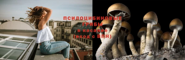 дмт Нея