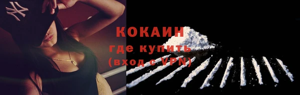 дмт Нея