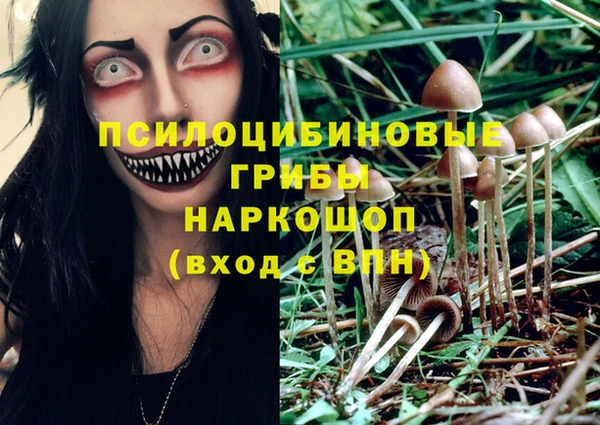 дмт Нея