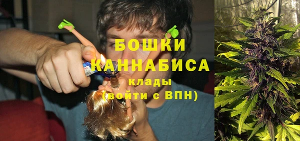 дмт Нея