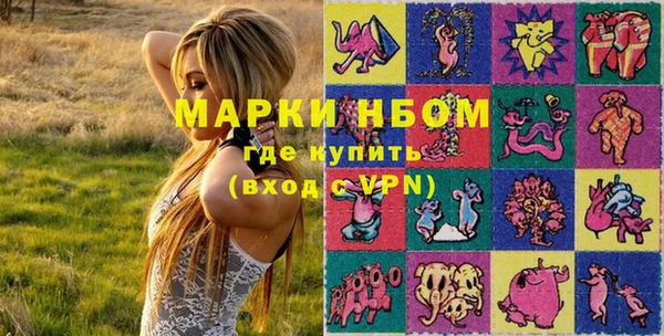 дмт Нея