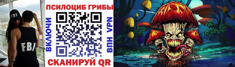 Псилоцибиновые грибы GOLDEN TEACHER  Тверь 