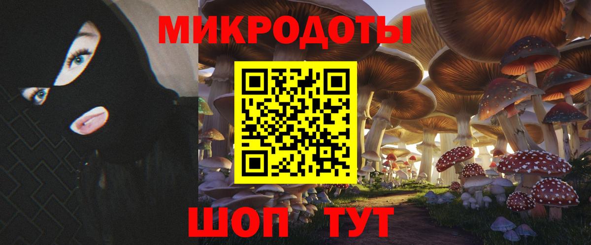 Галлюциногенные грибы Psilocybe  Вход с VPN  Тверь 